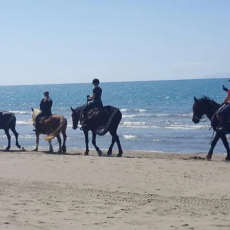 Maison Tizi Vendégház