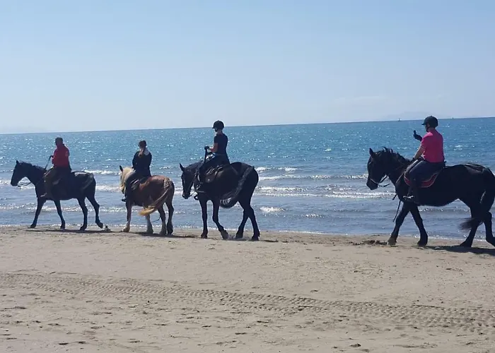 Maison Tizi Vendégház